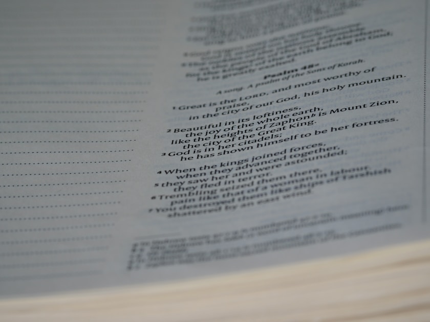 a page of a book